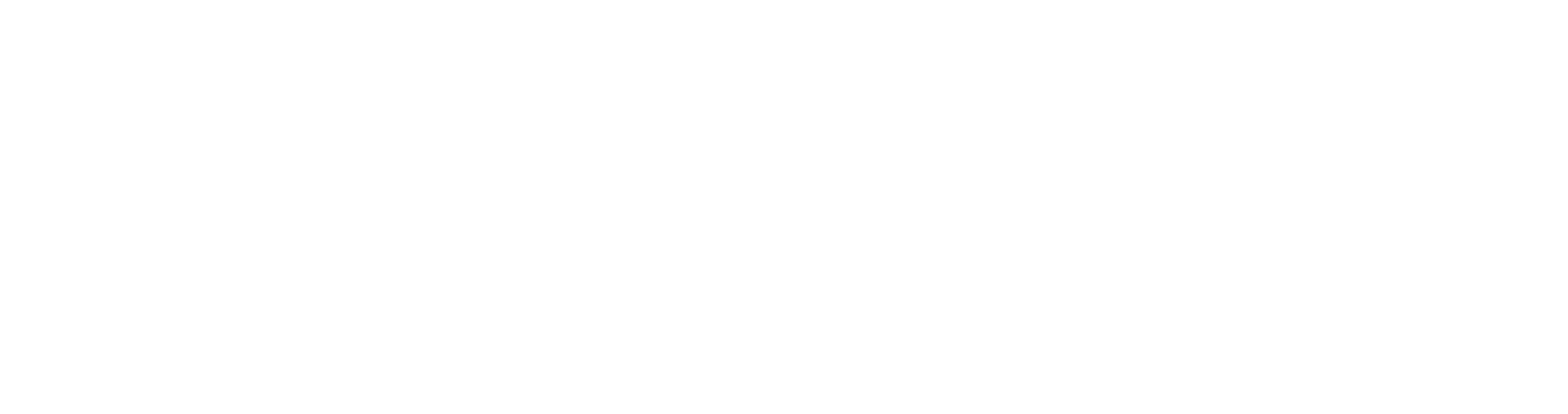 Lender partner